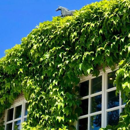 Apartment Gaestehaus Schloss Bothmer 施瓦姆施泰特 外观 照片